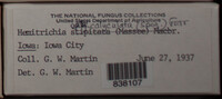 Image Associated With the Occurence